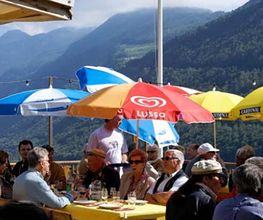 Plan-Cerisier Bild 5