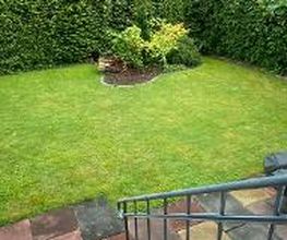 Gartenbereich mit Hecke und Büschen.