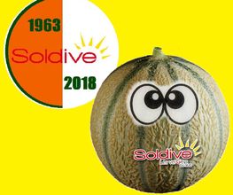 SOLDIVE SCA image 3