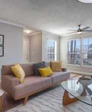 Elements of Madison Apartments image 2