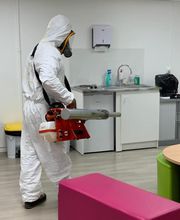 Dérat Guêpe 26 image 3