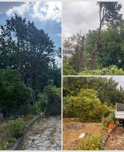 Entretien Jardin 47 image 3