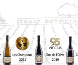 Couly Dutheil clos echo image 4