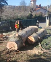 A.D.S Services image 6