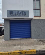 FLUVIA imagen 3