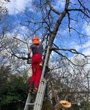 Germier Paysage image 4