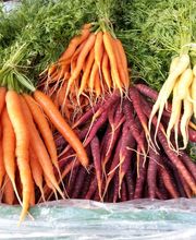 Azienda Ortofrutticola Taiana sagl Bild 2