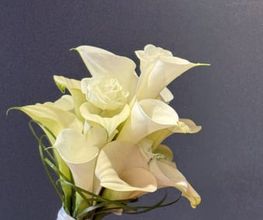 Blumen Hertweck Bild 6