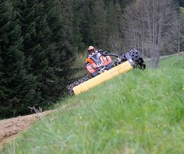 Weigold Landschaftspflege Bild 4