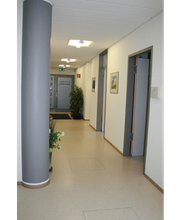 Dehling Markus Bild 1