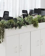 Antilles Bureaux image 3