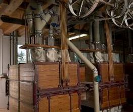 Moulin d'Echallens Bild 6
