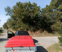 Dardard17 image 8
