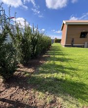 Landschaftspflege & Gartenbau Manuel Alten Bild 11