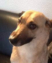 Karl Schäfer Personalberatung & Training Bild 4