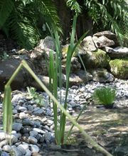 Gartenbau Birseck Bild 2