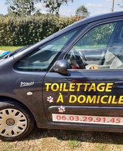 Au Ptit Canin image 3