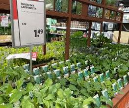 Intratuin Zoetermeer afbeelding 10
