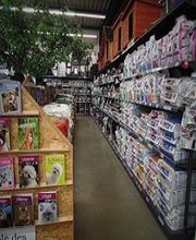 ANIMOTOPIA PLOUIGNEAU image 5