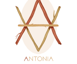 217837673-1-EG86lQtAn01779349846009.png