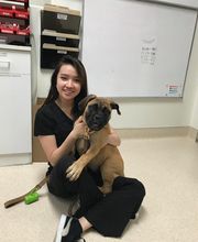 Irvine Valley Veterinary Hospital Emergency image 4