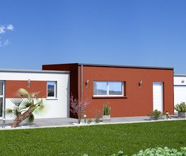 Neomya image 7