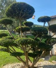 Rufener Jardins Bild 3