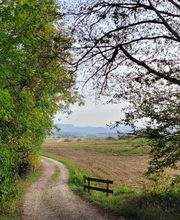 FriedWald Schurwald Bild 1