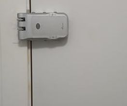 310110994-1-5pAlTVzKW41785242138374.jpeg