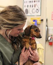 Valley Animal Hospital image 10