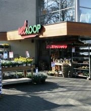 Vriezenveen Welkoop NF