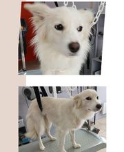 Hop les Poils image 10