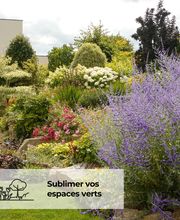 Ameline Arbora image 7