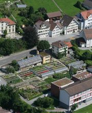 Viola Floristik & Gärtnerei GmbH Bild 1