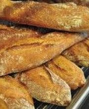 Planckaert image 4