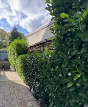 Nadrowski Baumdienst Bild 10