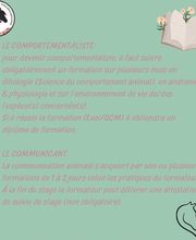 Equi'Canis Comportement image 4