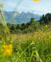 Elektrizitätswerk Obwalden Bild 13