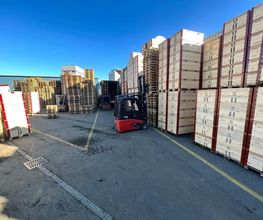 Paletten Logistik GmbH | EURO-Paletten | Palettenrahmen | gebrauchte Paletten Bild 12