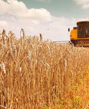 AGRÍCOLA SC imagen 6