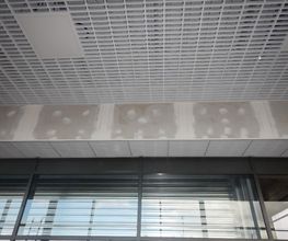 Martinet SARL image 6