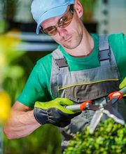 Klaiqi Garten & Landschaftsbau Hausmeisterservice Bild 3