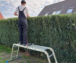 Garten- und Hausmeisterservice Joel Dehmelt