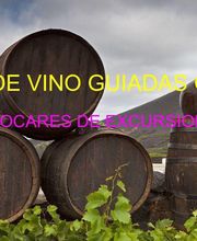 Bodegas Los Jumillanos imagen 3