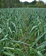 Les Paniers De José image 3