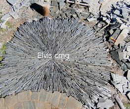 ELVIS CMG image 2