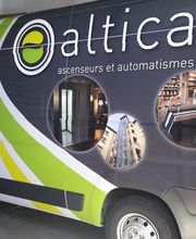 Altica image 5