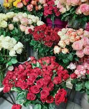 Jardinerie du Bois-Paris image 11