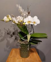 Blumenhaus Wilco Bild 5