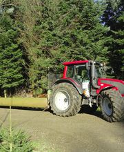 Ehrler Forstunternehmung GmbH Bild 1